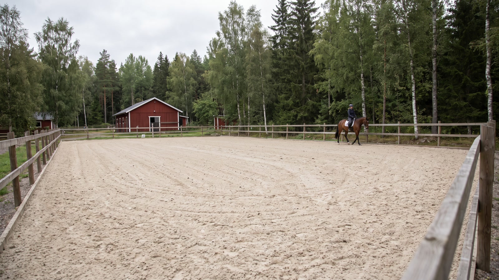 Färdig svensk utomhusridbana med harvat sandunderlag, träsarg, falurött stall och ryttare i bakgrunden