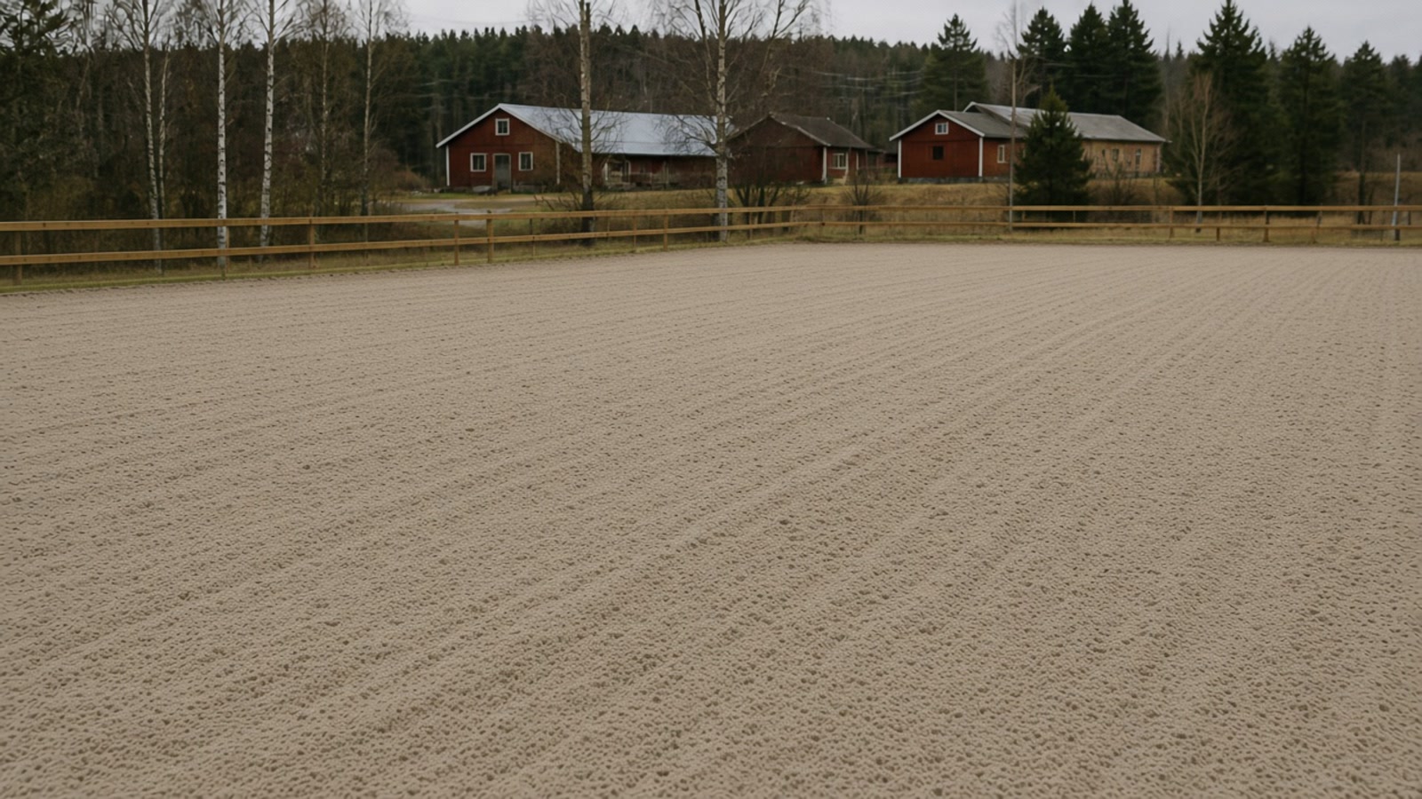 Harvat sandunderlag på en svensk utomhusridbana med träsarg och faluröda gårdshus