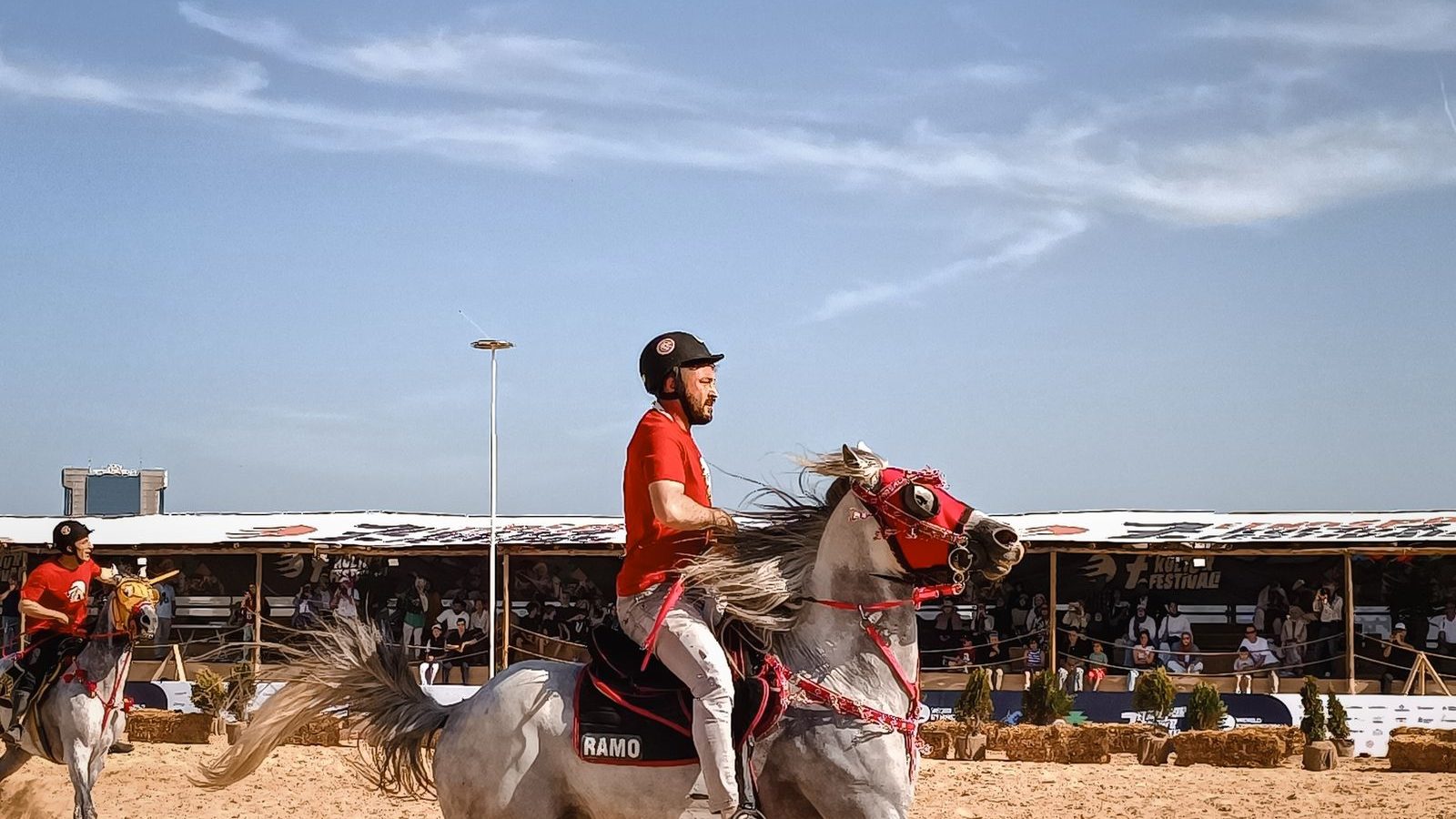Häst i galopp över ett ljust sandunderlag där hovarna kastar upp sand